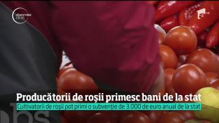 Producătorii de roșii primesc bani de la stat