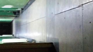 IMAGINI ŞOCANTE: Şobolanii colcăie în arestul poliţiei Dolj, PLOŞNIŢELE în cel de la Cluj! (VIDEO)