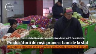 3.000 euro pe an! Atât este SUBVENŢIA de la stat pentru CULTIVATORII de ROŞII