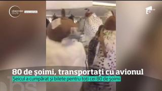 Culmea AROGANŢEI! Un prinţ saudit a transportat 80 de şoimi cu avionul (VIDEO)