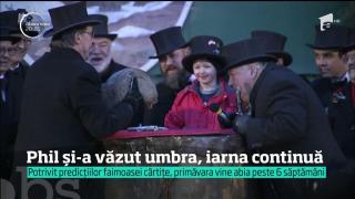 Este meteorologul de serviciu al AMERICII şi niciodată nu s-a înşelat! PHIL, cârtiţă care le spune cum va fi vremea în State