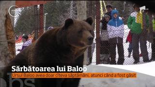 Aniversare la Straja. Mii de turişti au venit să-i ureze "La mulţi ani", ursului Baloo, mascota staţiunii