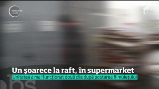 Un şoarece se plimba în vitrina cu brânzeturi a unui supermarket din Capitală