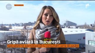 Gripa aviară, în București! Specialiștii ne avertizează să nu consumăm carne de pasăre (VIDEO)