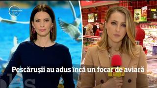 Alertă de gripă aviară în Bucureşti