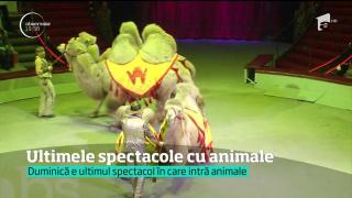 În Capitală, zilele acestea, se spune adio spectacolelor de circ. Au loc ultimele reprezentaţii cu animale
