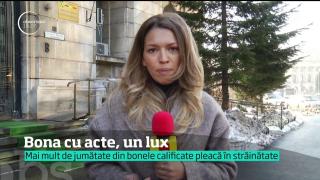 Bonele instruite sunt pe cale de dispariţie! Tot mai mulţi părinţi aleg bone străine pentru copiii lor