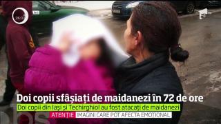 Doi copii sfâșiați de câini, în doar 72 de ore. Micuţii au fost ţinte pentru maidanezii înfometaţi