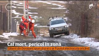 Sătenii unei comune din Iaşi refuză să mai treacă o stradă, după ce un cal a murit acolo