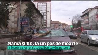 O mamă şi fiul ei, la un pas de moarte! Un copac spulberat de vânt s-a prăbuşit peste maşina lor, pe o stradă din Suceava