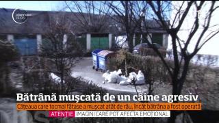 O femeie a fost operată după ce a fost muşcată de câine