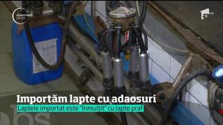 Lapte "pur" sau cu adaos de lapte praf? Etichetele nu ne ajută să ştim ce cumpărăm din magazine