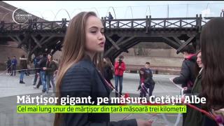 Cel mai mare MĂRŢIŞOR din România, la Cetatea Albă Carolina din Alba Iulia
