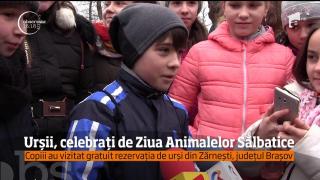Urşii din rezervaţia de la Zărneşti, vizitaţi de copii, de Ziua Animalelor Sălbatice