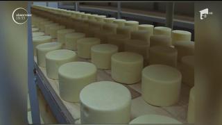 Brânzeturile ieftine sunt pline de uleiuri vegetale, extrem de periculoase