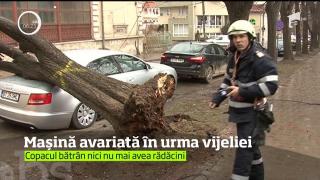 Vijelie puternică, la Iaşi! O maşină a fost GRAV AVARIATĂ de un copac doborât de vânt (VIDEO)