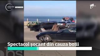 O tânără a făcut CIRC în portul Tomis şi abia la PSIHIATRIE s-a aflat care e motivul furiei ei