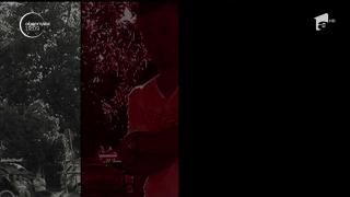 DEZVĂLUIRI ULUITOARE despre şoferul care a ucis 2 copii, în Galaţi. A fost ajutat de UN POLIŢIST, deşi nu avea permis!