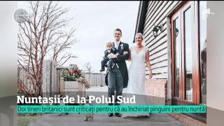 Doi miri sunt arătaţi cu degetul de activiştii pentru drepturile animalelor, din cauza cavalerilor de onoare