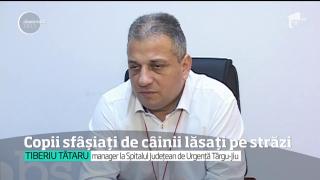 După ce o fetiţă a fost muşcată luni de un maidanez, hingherii din Tg. Jiu au ieşit pe străzi să vâneze câini