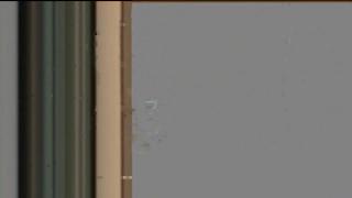 Divorţul dintre omul de afaceri Dan Adamescu, MORT de mai bine de o lună, şi văduva sa a început