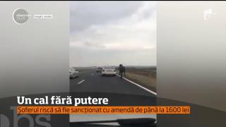 IMAGINI REVOLTĂTOARE! Un cal a fost filmat în timp ce alerga după un autoturism, legat de cârligul de remorcare al vehicului