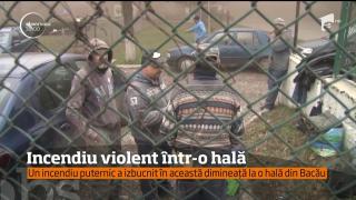 Un incendiu puternic a izbucnit la o hală din Bacău! Fumul gros a acoperit întreg oraşul