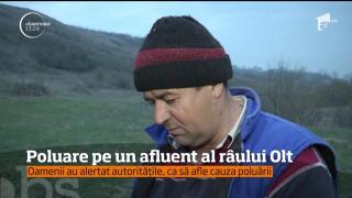 ALERTĂ în Dolj! Zeci de PEŞTI MORŢI plutesc pe un afluent al Oltului