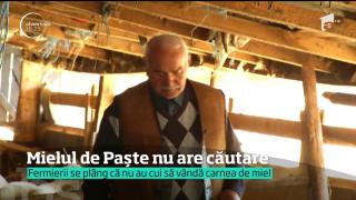 Mai e o lună până la Paşte, iar crescătorii de miei se uită în zare după clienţi. Şi nu prea vine nimeni