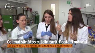 Produs cosmetic sau delicatesă? Cercetătorii au inventat un RUJ UNIC în ţară. Femeile vor fi ÎNCÂNTATE