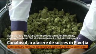 Comercializarea cannabisului, noua afacere profitabilă a Elveţiei