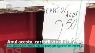 Mâncăm mulţi cartofi, dar, paradoxal, cultivăm tot mai puţini