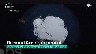 Pericolul încălzirii globale! Gheaţa de la poli se topeşte într-un ritm alarmant (VIDEO)