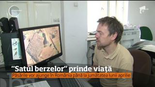 Forfotă mare în Satul Berzelor din Mureş! Toţi localnicii aşteaptă înaripatele