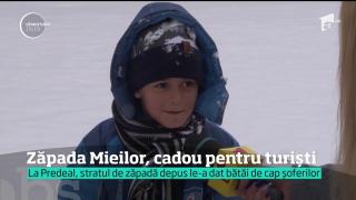 Observator de weekend