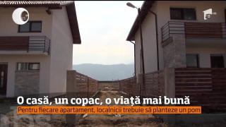 Pentru o casă nouă, localnicii din Ghimbav sunt obligați să planteze trei copaci