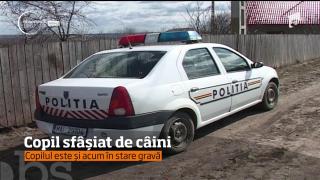 Copil de 8 ani, atacat de O HAITĂ DE CÂINI la Cluj. Băieţelul este în stare critică (VIDEO)
