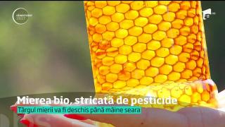 Trucul extrem de simplu prin care puteți afla dacă mierea este sau nu NATURALĂ! (VIDEO)