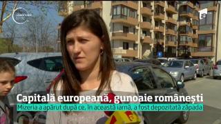 Observator de weekend