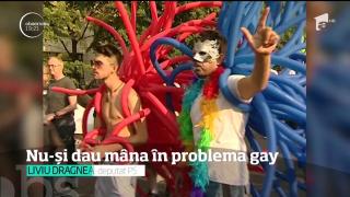 Parteneriatul civil şi dilema homosexualităţii separă apele în PSD