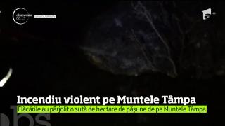 INCENDIU VIOLENT lângă Braşov! Sute de metri pătraţi de vegetaţie au fost distruse pe Muntele Tâmpa (VIDEO)
