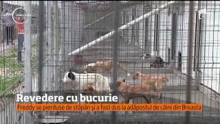 Regăsire miraculoasă după două săptămâni! Freddy şi-a recunoscut imediat stăpânul