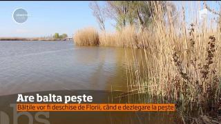 Peştele, vedetă pe mesele creştinilor în Duminica Floriilor