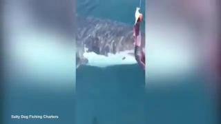 Imagini incredibile: Un bărbat s-a APĂRAT de un RECHIN cu o MĂTURĂ (VIDEO)