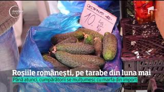 Roșiile românești, în pieţe din luna mai!