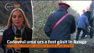 Caz neobișnuit la Azuga: CADAVRUL unui urs a fost descoperit lângă şinele de cale ferată