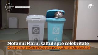 Motanul Maru a intrat în Cartea Recordurilor!