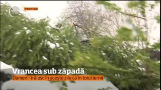 Sute de gospodării au rămas fără curent, din cauza vremii. Oamenii stâng lemne pentru foc, în Vrancea (VIDEO)