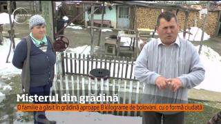 Descoperire incredibilă, în Neamţ! O familie a găsit în curte multe bucăţi de metal, cu forme ciudate!