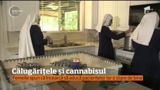 Se îmbracă în haine de călugăriţe şi vând cannabis în toată lumea. În scopuri terapeutice!